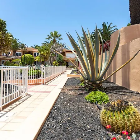 Solapartment * Corralejo