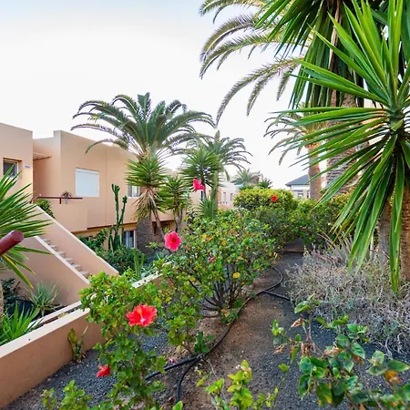 Solapartment Lejlighed Corralejo